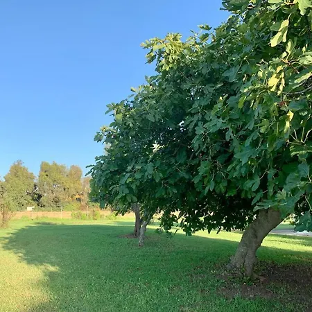 Semesterbostad Podere Cala Viola *