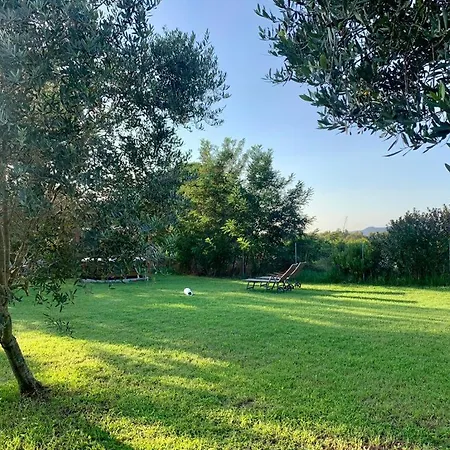 Podere Cala Viola Holiday home *