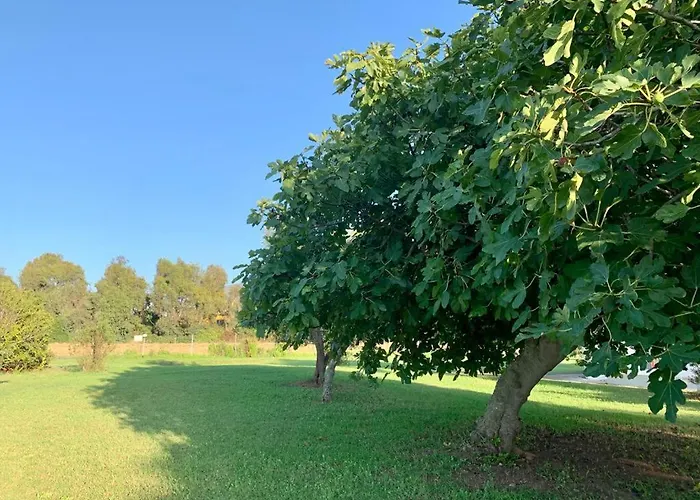 Hébergement de vacances Podere Cala Viola *