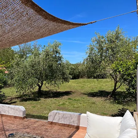 Podere Cala Viola Feriehus
